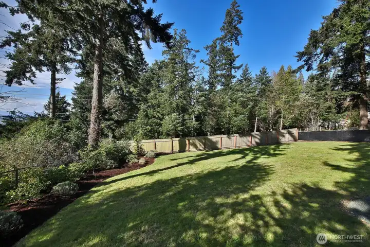 Forecast...sunshine with a mix of evergreens and breezes!