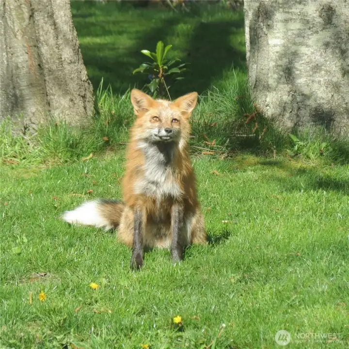 San Juans living—there's nothing quite like it...