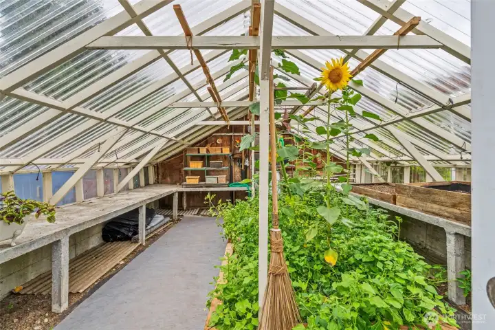 30' long green house with water and ventilation 30' long green house with water and ventilation