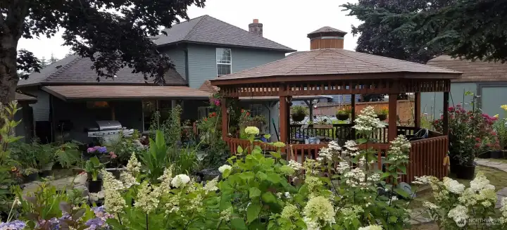 Great home with an amazing Backyard Oasis!