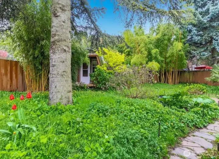Garden path to outbuilding in back