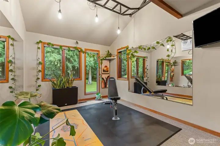 2nd bedroom/home gym