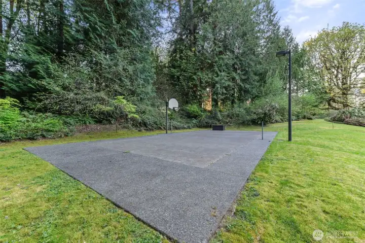 Pickleball or basketball?