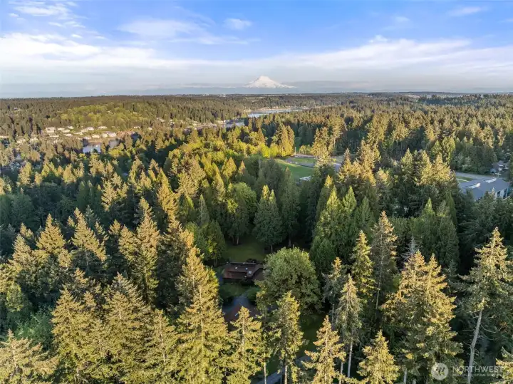 You'll feel far away, but you're just minutes from uptown and downtown Gig Harbor