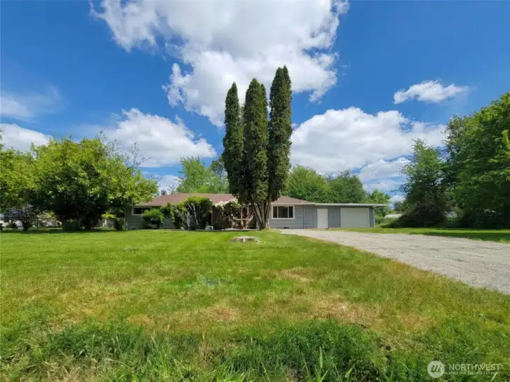 View From Street. Huge Front Yard!