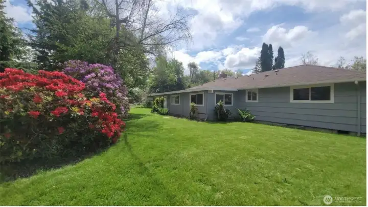 Backyard from the north side