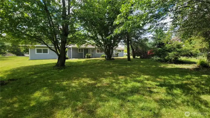 Backyard is large and lush!