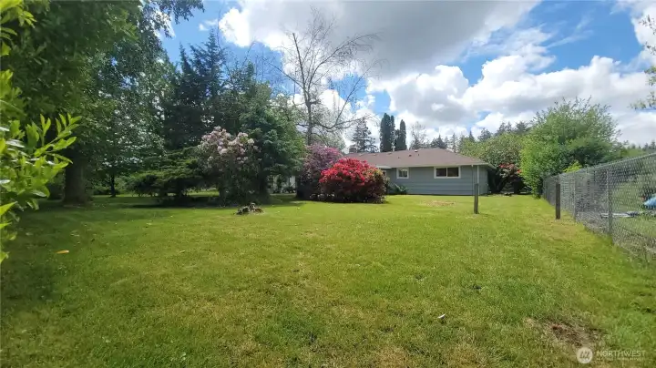 HUGE Backyard from the East