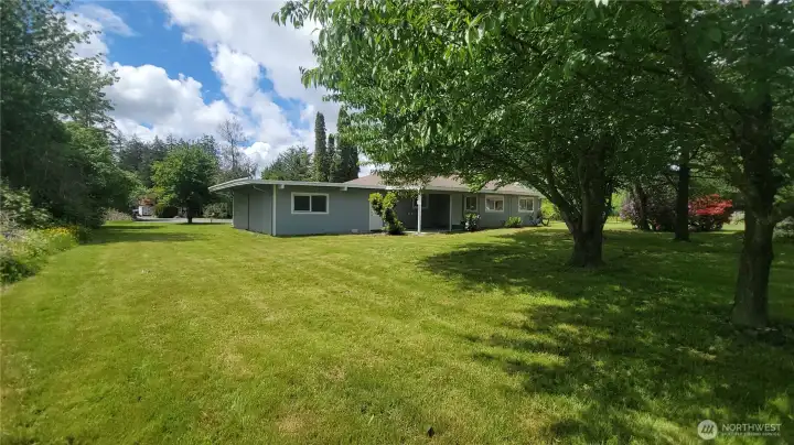 Back yard from the South