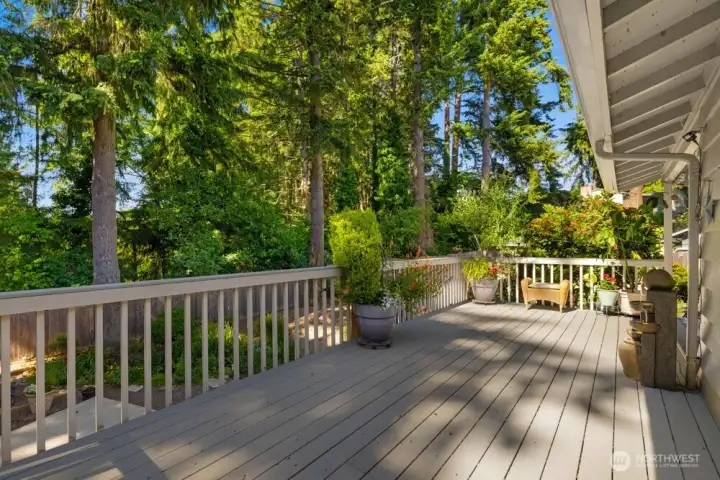 Entertainers dream deck