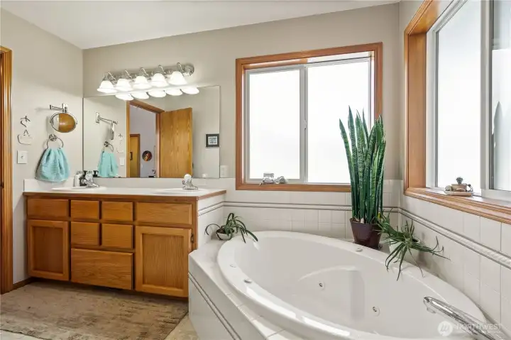 Relaxing soaking tub with large windows and natural light.