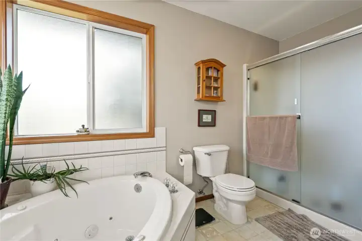 Ensuite bathroom with walk-in shower and soaking tub.