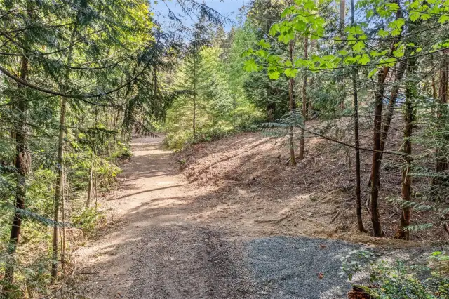 Private Rd - Maple Ave. Gravel driveway shown to the right.