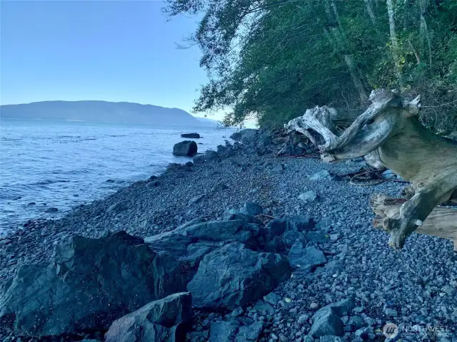 Eagle Lake residents enjoy access to this saltwater beach. It' about a .4 mile hike down to the beach.