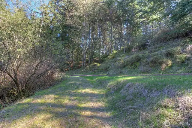 A possible driveway into the building site.