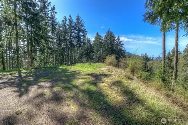 Utilities in the road, pictured on the right as you approach Lot 23 from Tsuga Lane.