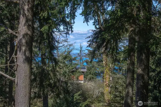 North view corridor.