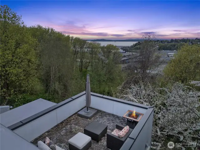 Stunning Stand Alone Townhome with privacy views from multiple floors.