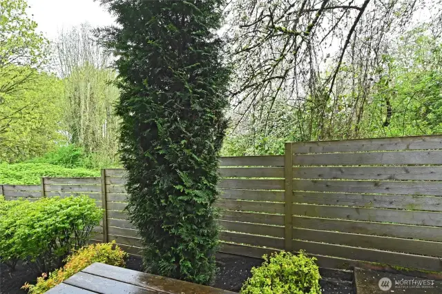 Fenced and secluded outdoor space in back wraps around.