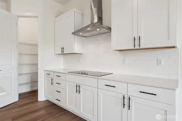 Kitchen Stovetop and Corner Pantry