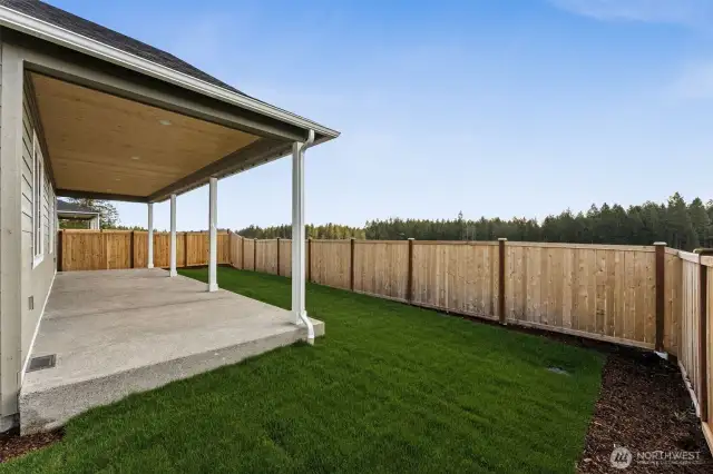 Backyard with Views