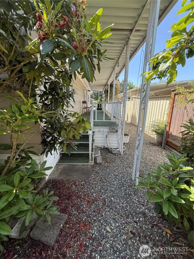 Side yard