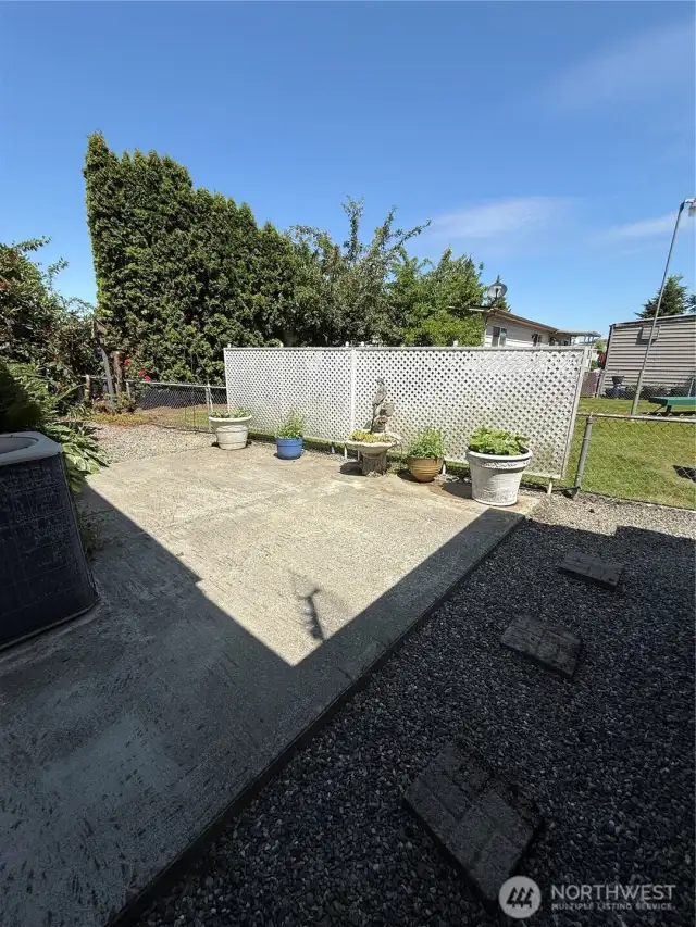 Back yard