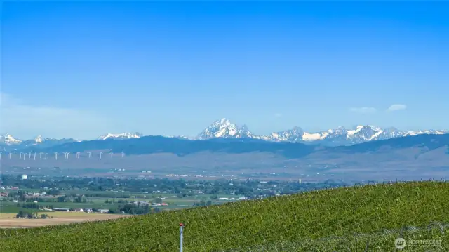 Beautiful Cascade Mountain views!
