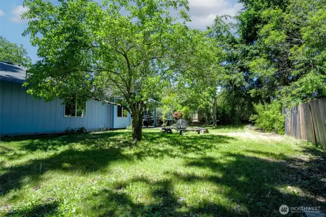 Fully fenced back yard for privacy and security of critters and little people.