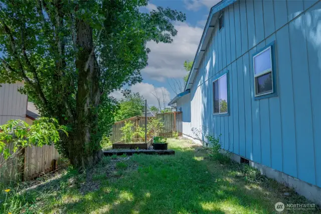 Sunny side yard great for the herb garden and tomatoes!