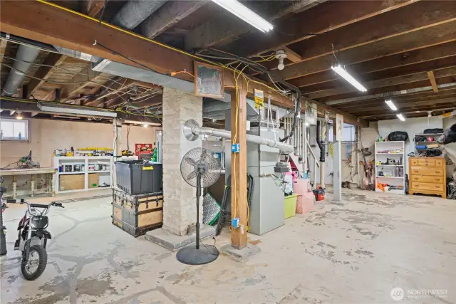 unfinished basement with door to the backyard