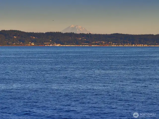Mt. Rainier