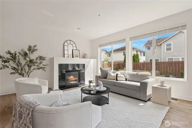 Gas fireplace