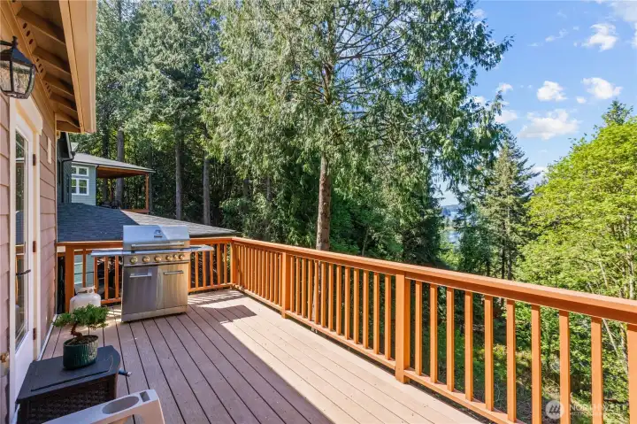 Elevated deck with room for seating and grilling, overlooking a private natural backdrop.
