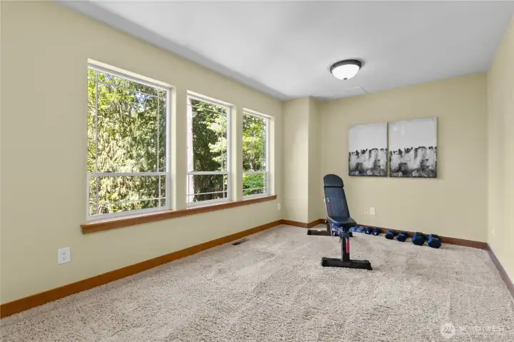Additional flex room with oversized windows and wooded views, ideal for fitness, creative space, or a quiet retreat.
