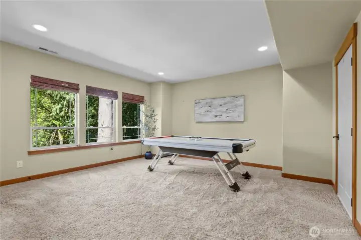 Flexible lower-level living space ideal for a media room, home gym, hobby area, or guest retreat.
