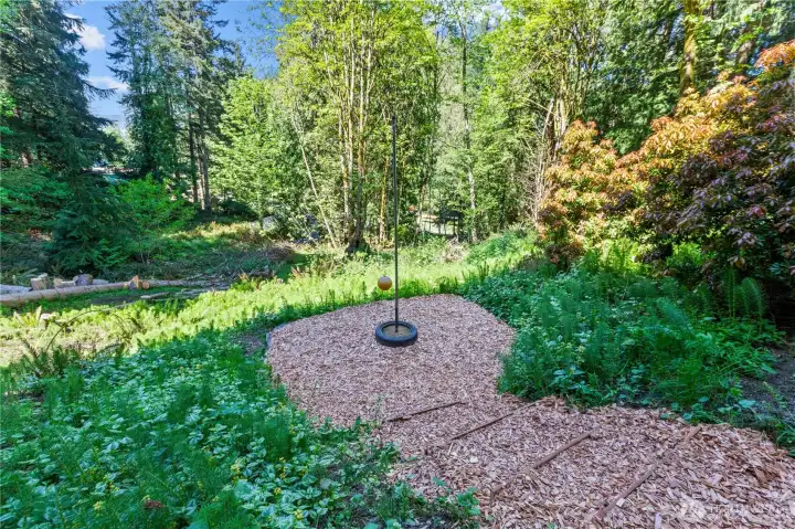 Private outdoor recreation area surrounded by mature trees and natural greenery.