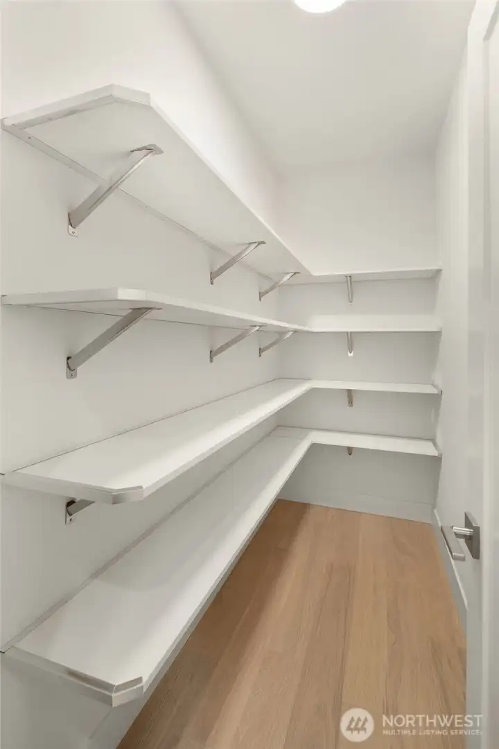Large walk-in pantry in kitchen with shelving.