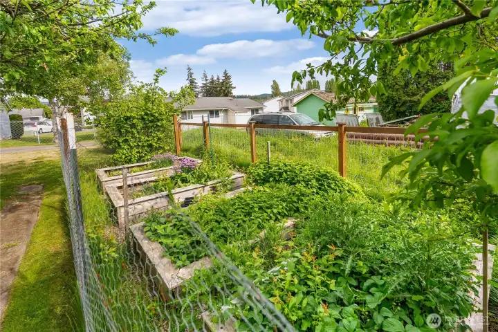 So much opportunity for gardening with raised garden beds within fencing