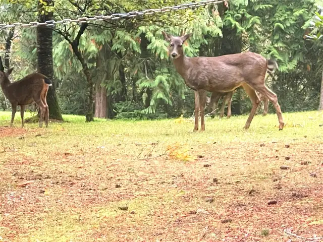 Neighbors Are Quiet