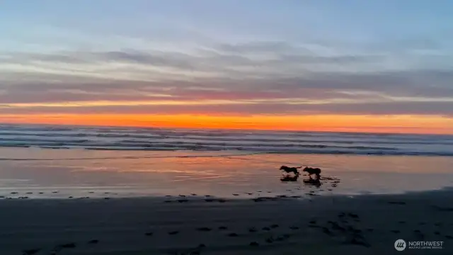 Ocean, sunset views
