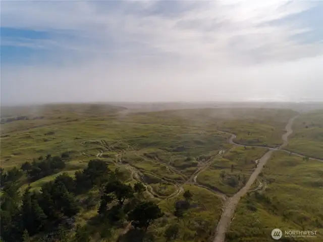 Explore the dunes