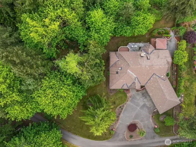 Birds Eye View