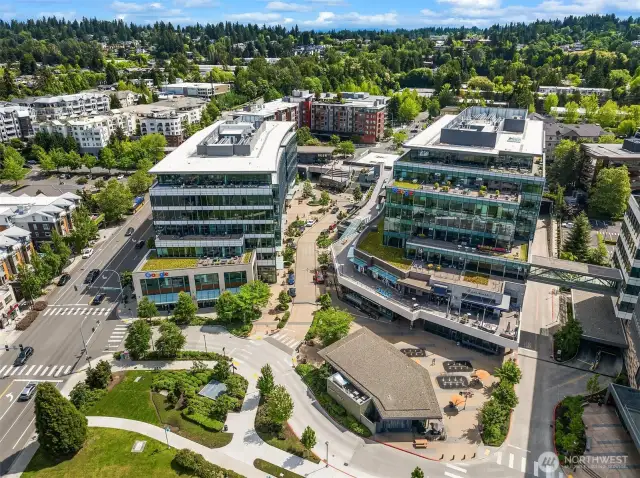 Walk to PCC, Shake Shack, Google, Restaurants and more!