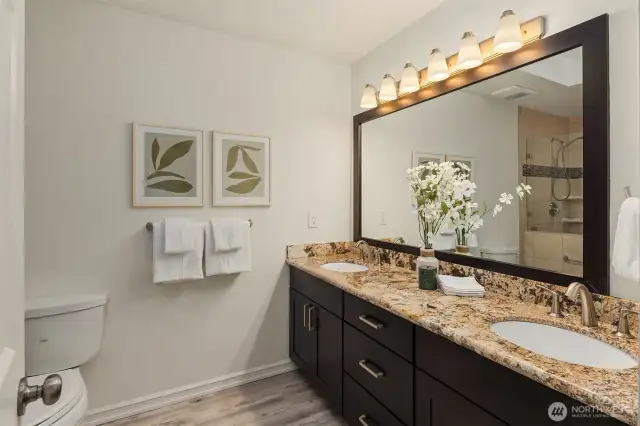 Double sink vanity, lots of space and skylight!