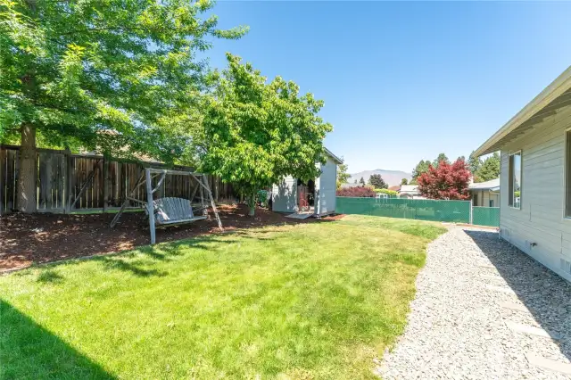 Backyard