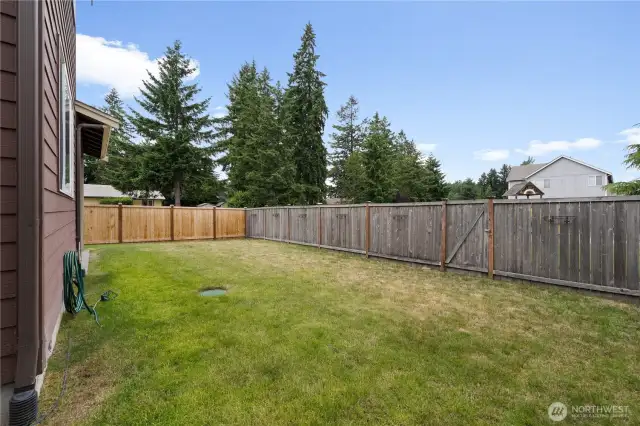 Back yard