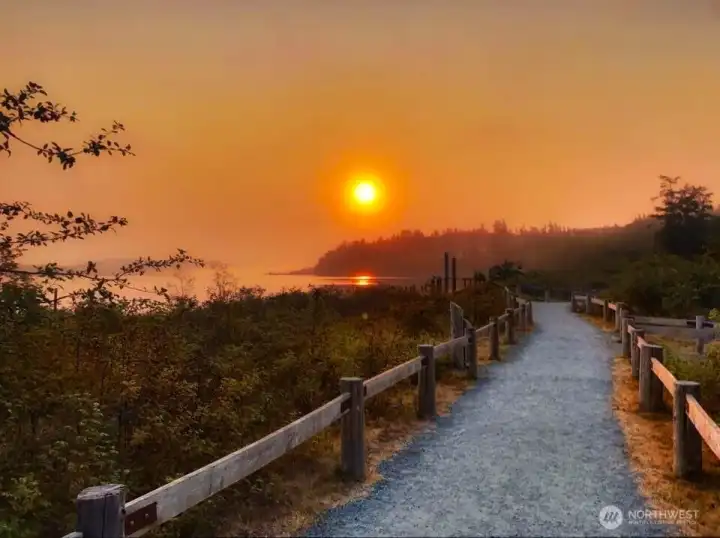 The Guemes Channel Trail abounds with natural beauty.