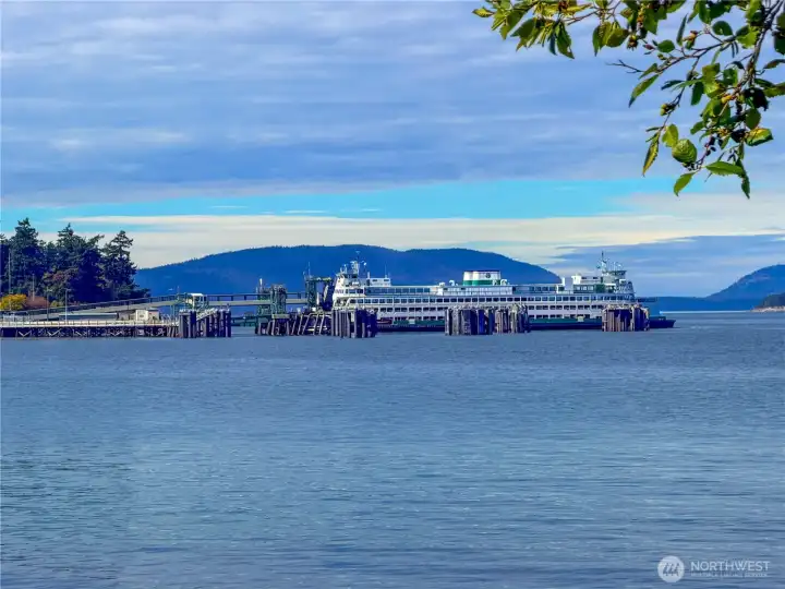 The Guemes Channel Trails with views of The Washington State Ferry landing.
