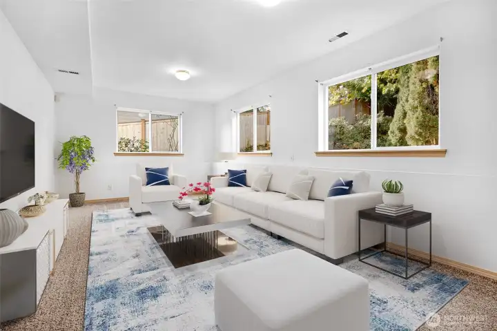 Virtually Staged Lower level bonus